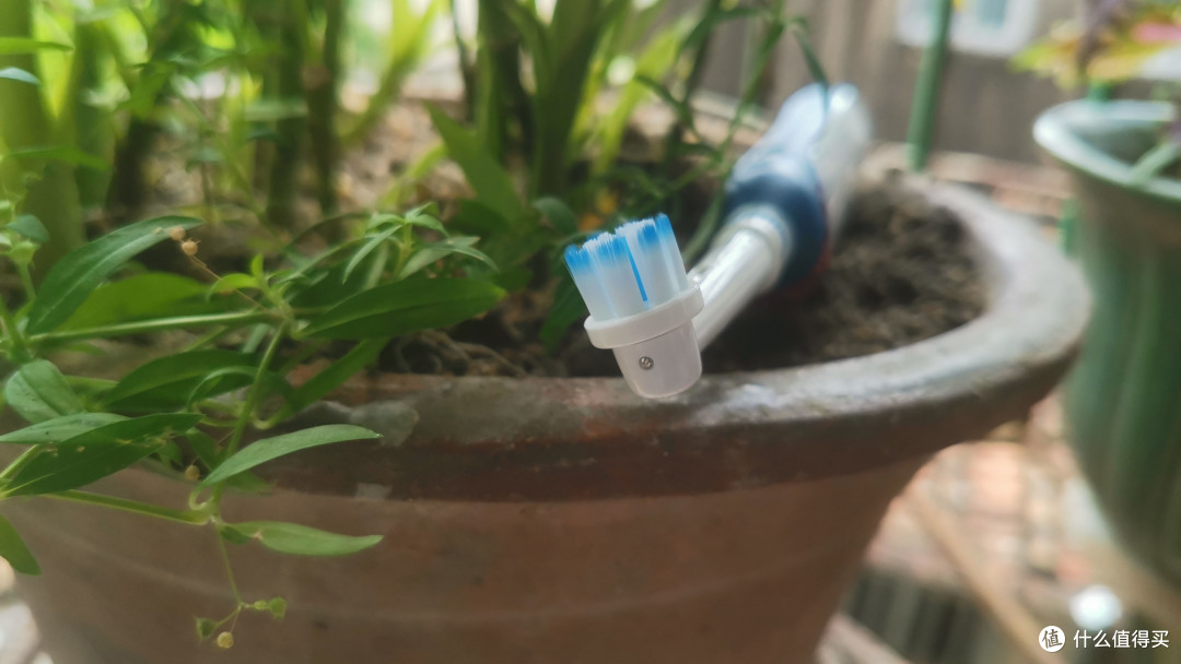 【中奖开箱】博朗欧乐b电动牙刷P4000流水账开箱