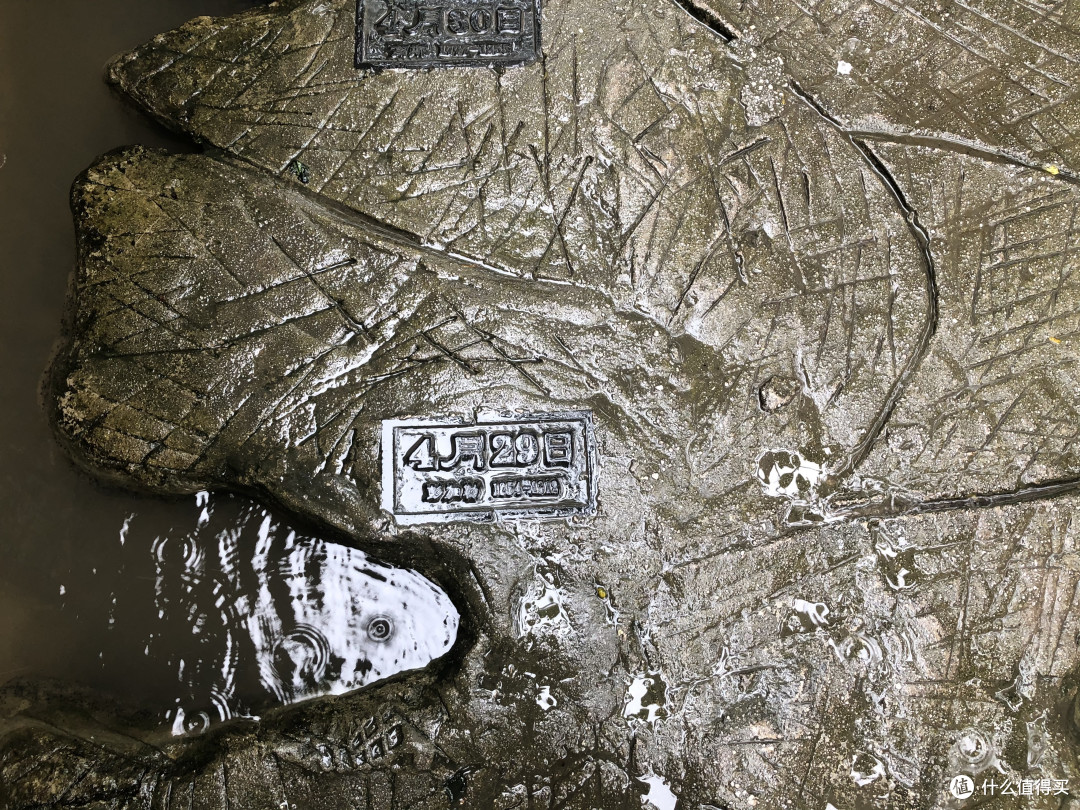 风景这边独好——记疫情稳定后的贵州湖南江西安徽游