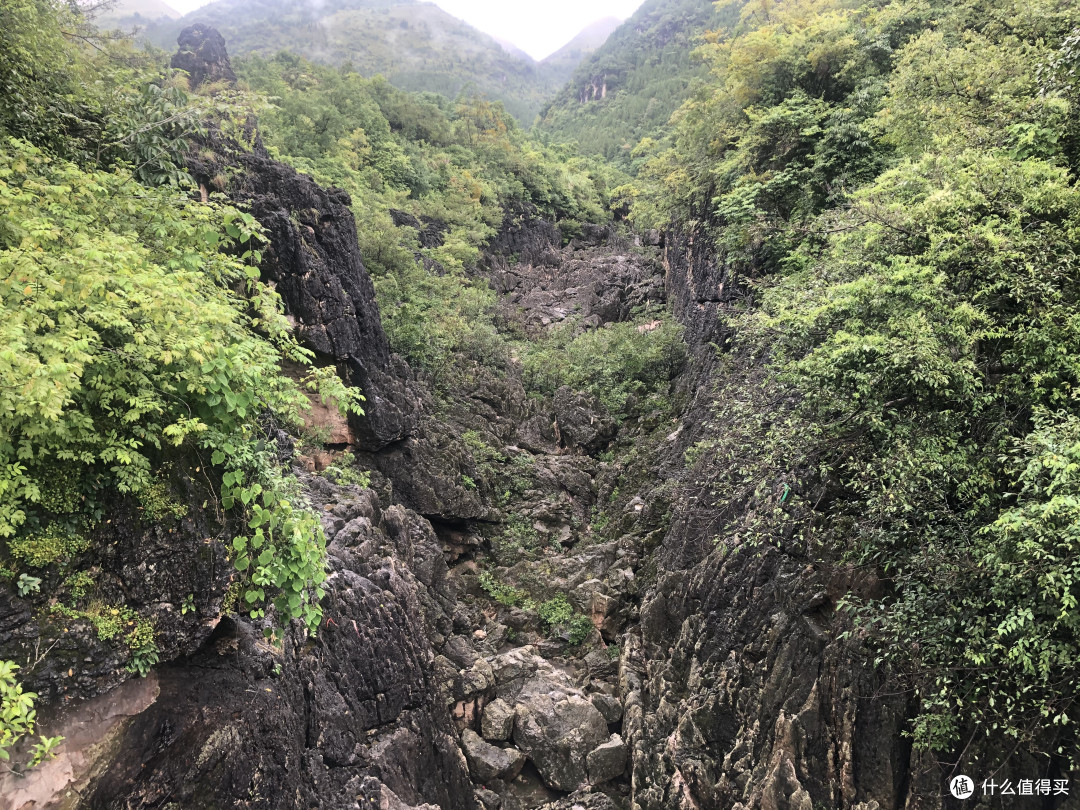 风景这边独好——记疫情稳定后的贵州湖南江西安徽游