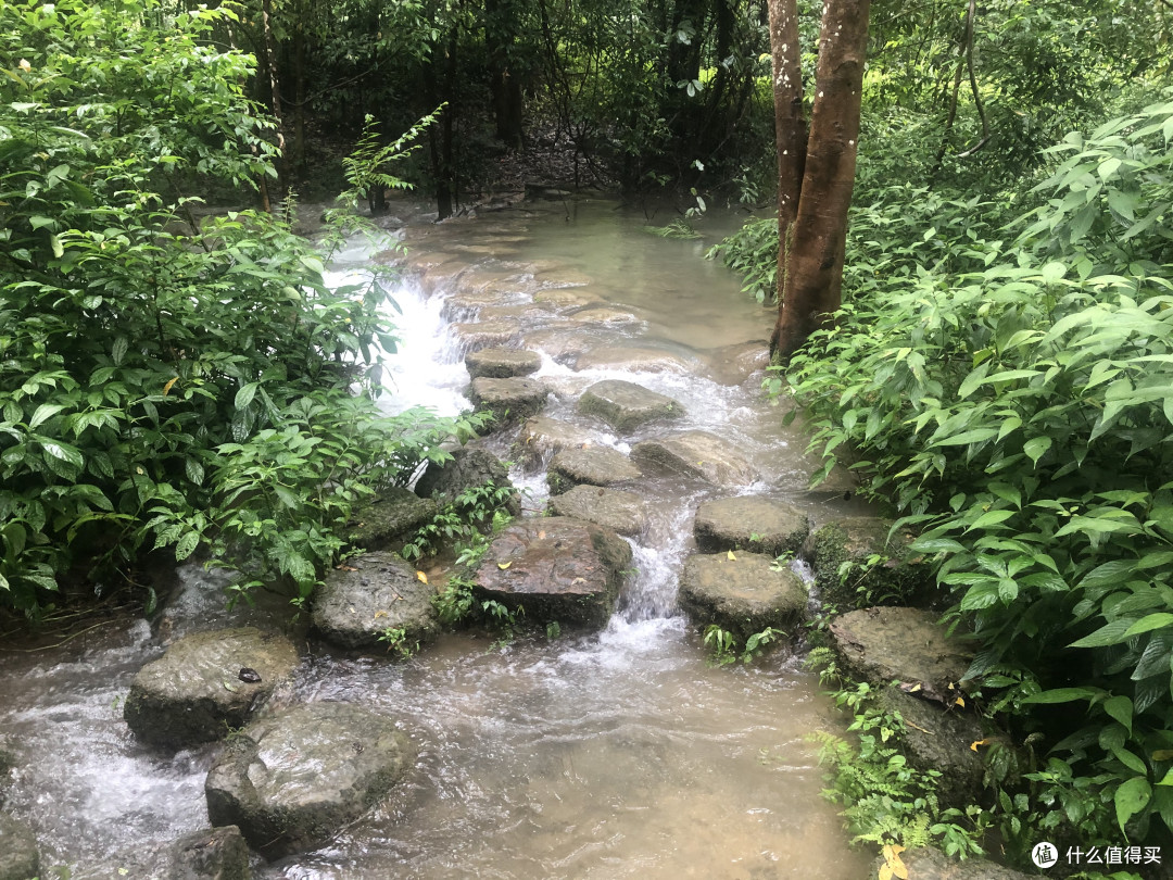 风景这边独好——记疫情稳定后的贵州湖南江西安徽游