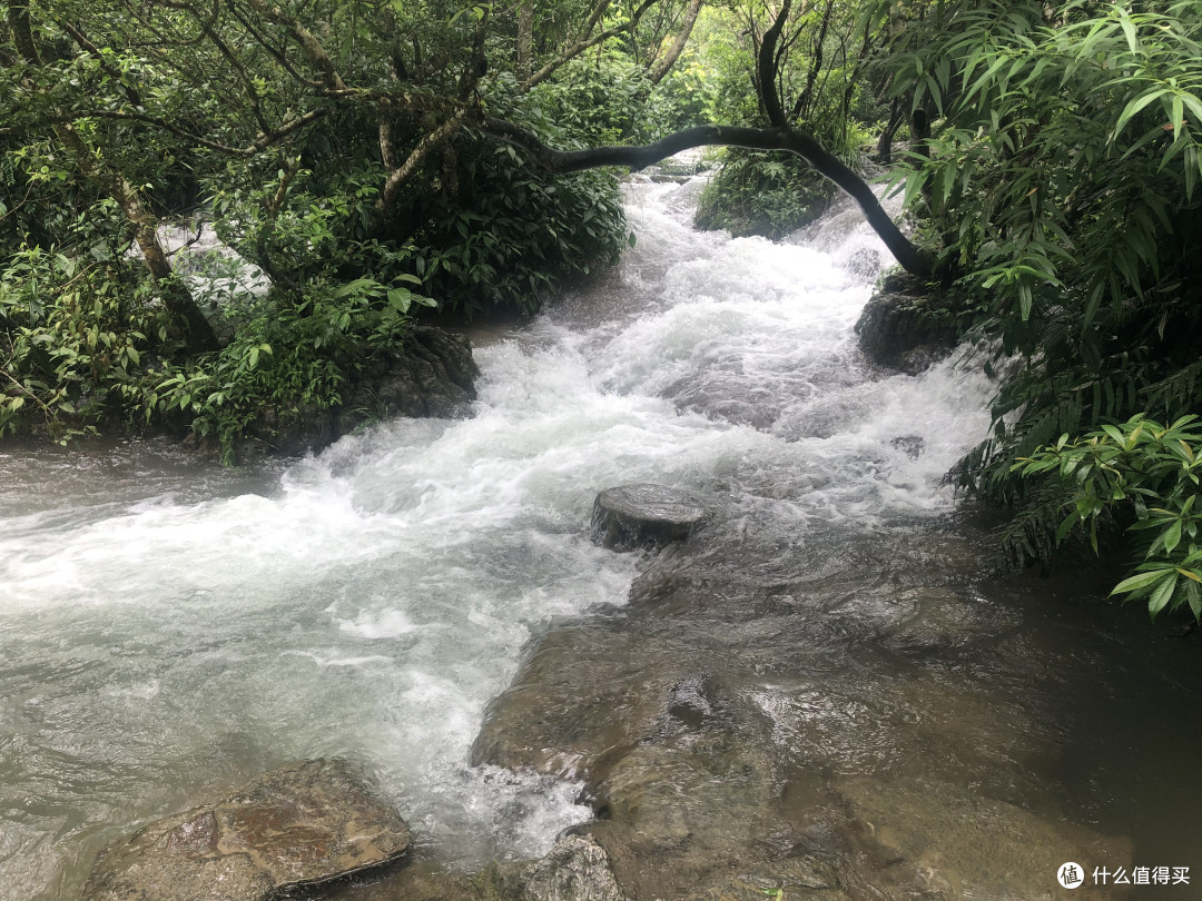 风景这边独好——记疫情稳定后的贵州湖南江西安徽游