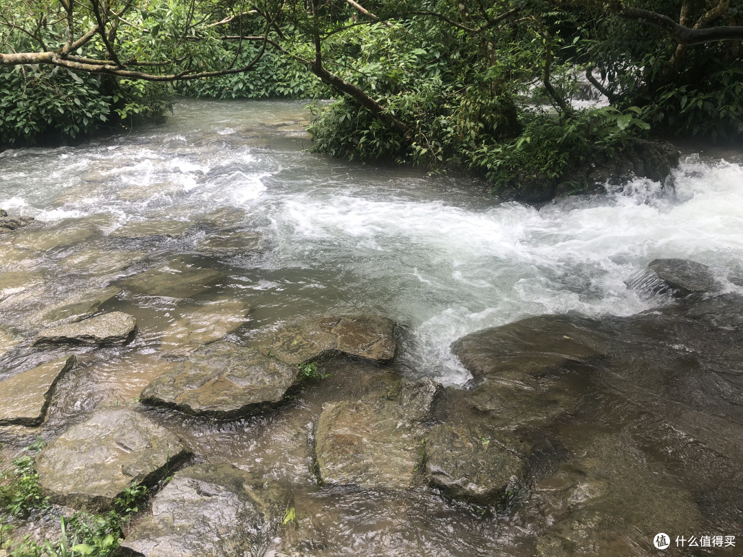 风景这边独好——记疫情稳定后的贵州湖南江西安徽游