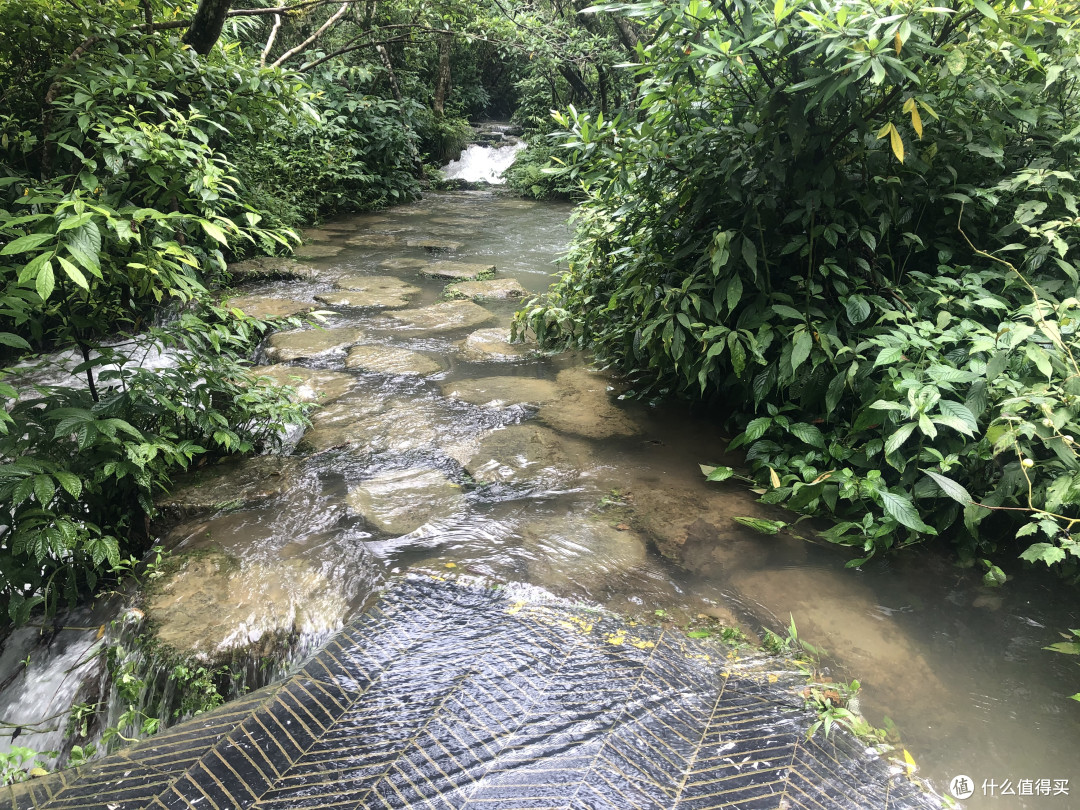 风景这边独好——记疫情稳定后的贵州湖南江西安徽游