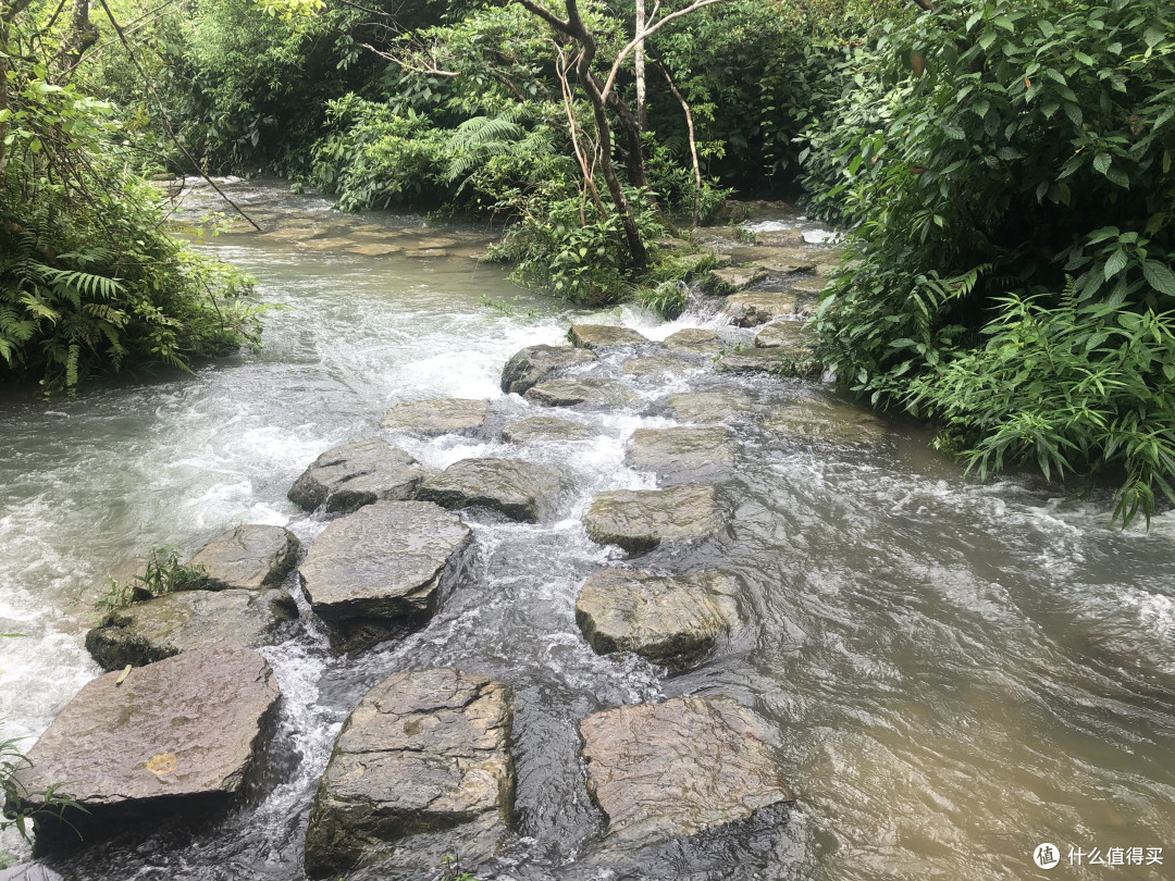风景这边独好——记疫情稳定后的贵州湖南江西安徽游