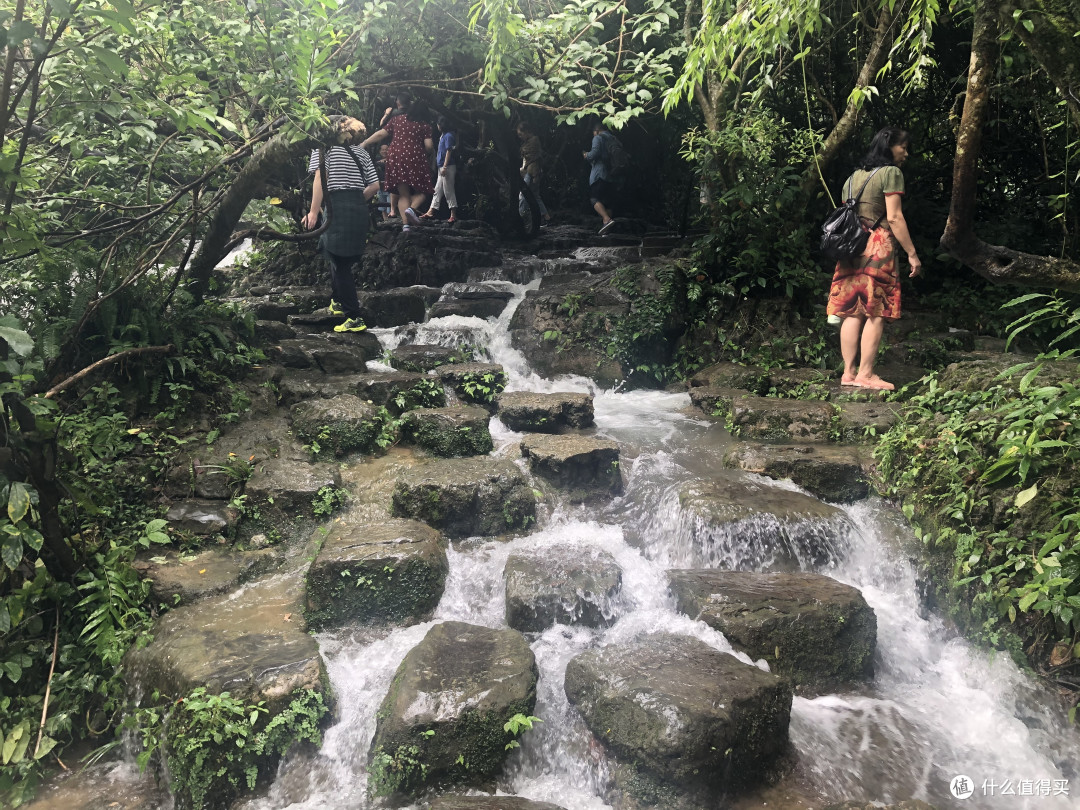 风景这边独好——记疫情稳定后的贵州湖南江西安徽游