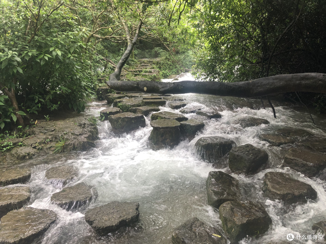 风景这边独好——记疫情稳定后的贵州湖南江西安徽游