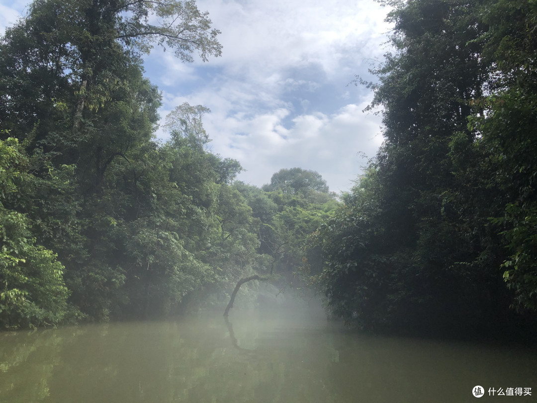 风景这边独好——记疫情稳定后的贵州湖南江西安徽游
