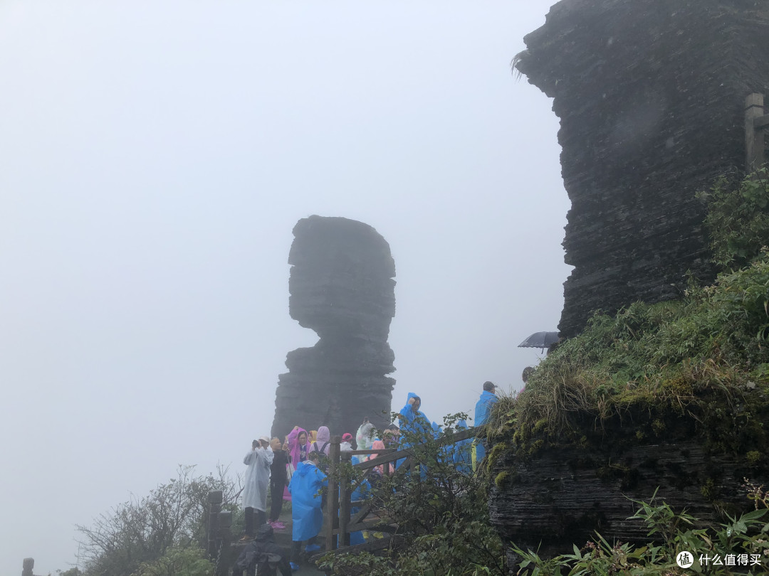 风景这边独好——记疫情稳定后的贵州湖南江西安徽游