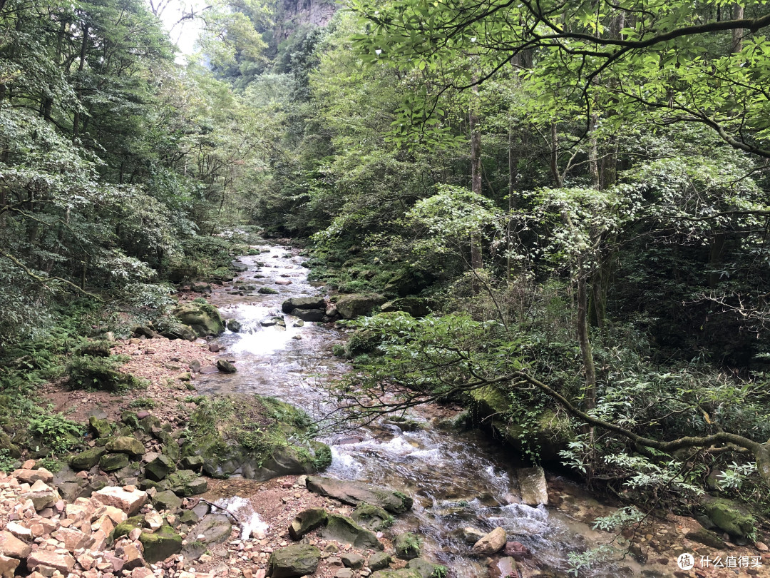 风景这边独好——记疫情稳定后的贵州湖南江西安徽游