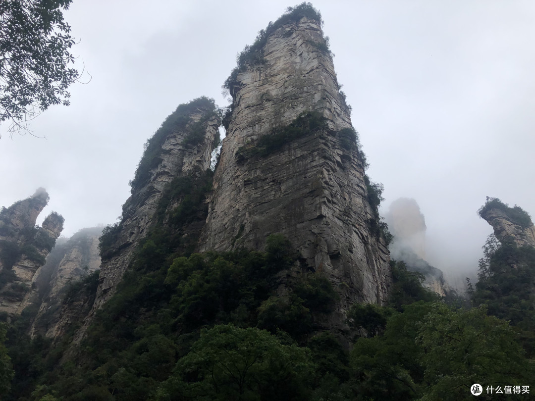 风景这边独好——记疫情稳定后的贵州湖南江西安徽游