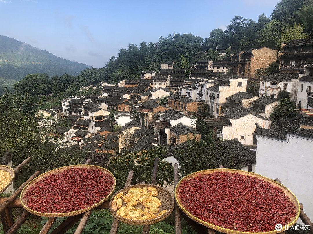 风景这边独好——记疫情稳定后的贵州湖南江西安徽游