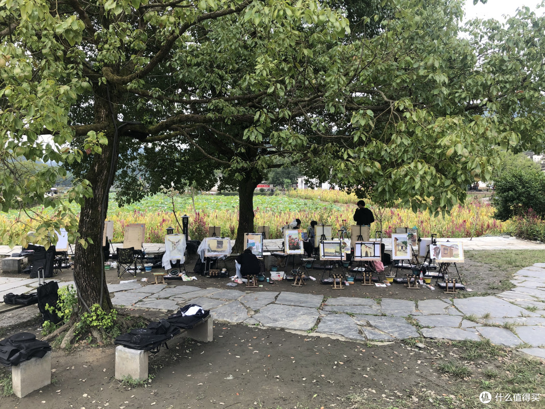 风景这边独好——记疫情稳定后的贵州湖南江西安徽游
