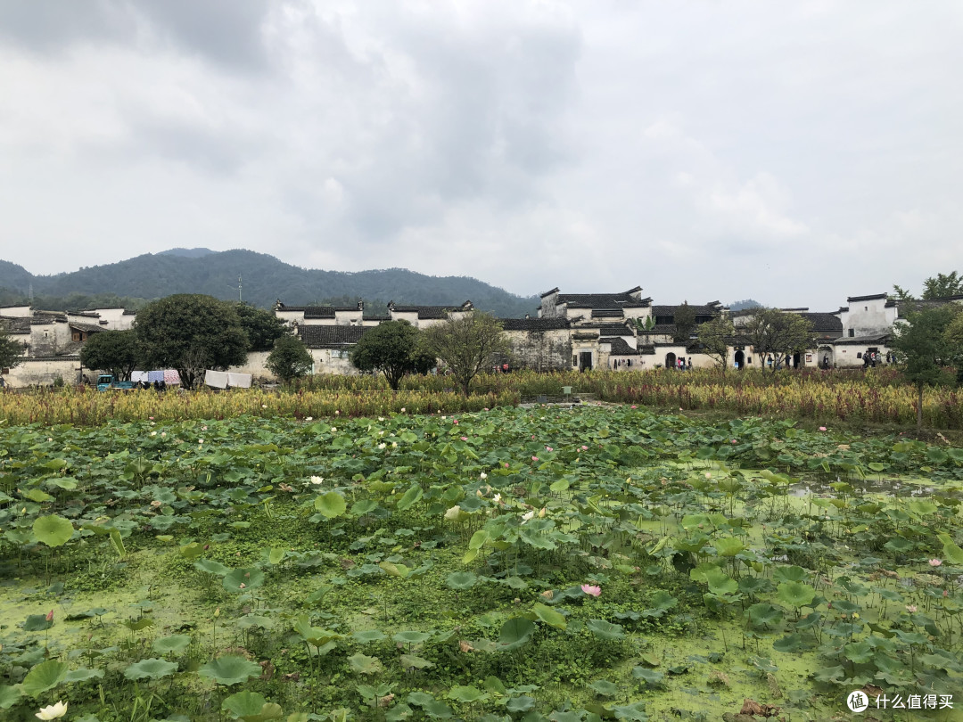 风景这边独好——记疫情稳定后的贵州湖南江西安徽游