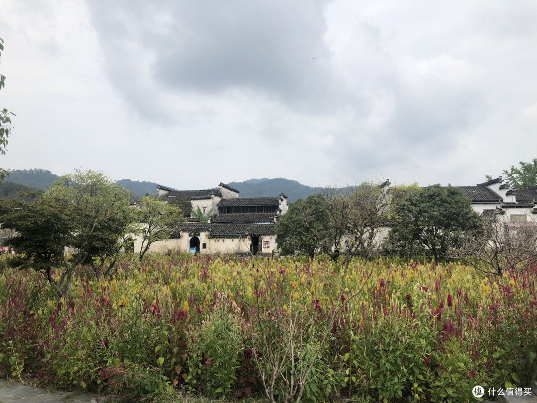 风景这边独好——记疫情稳定后的贵州湖南江西安徽游