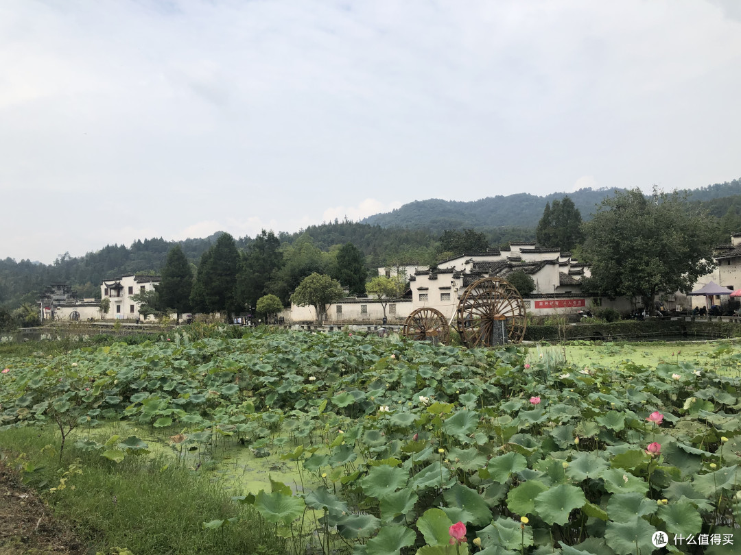 风景这边独好——记疫情稳定后的贵州湖南江西安徽游
