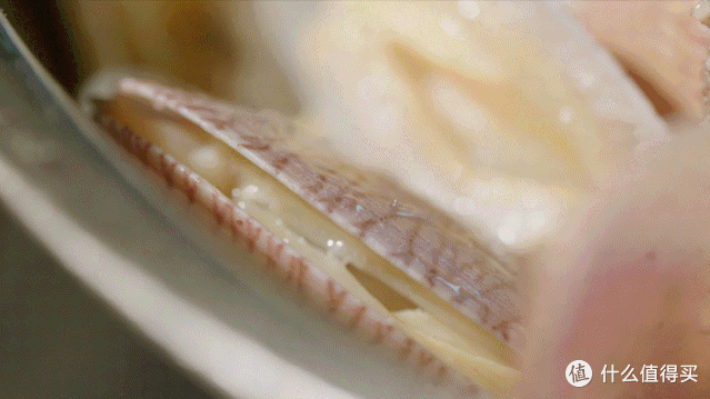 寻味东莞,来感受一下一天五顿的快乐吧