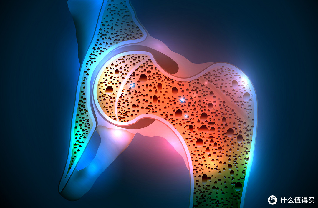 保护骨骼，拒绝骨质疏松——从漏诊到控制，科学看待健康问题，检查和预防永远比治疗更重要