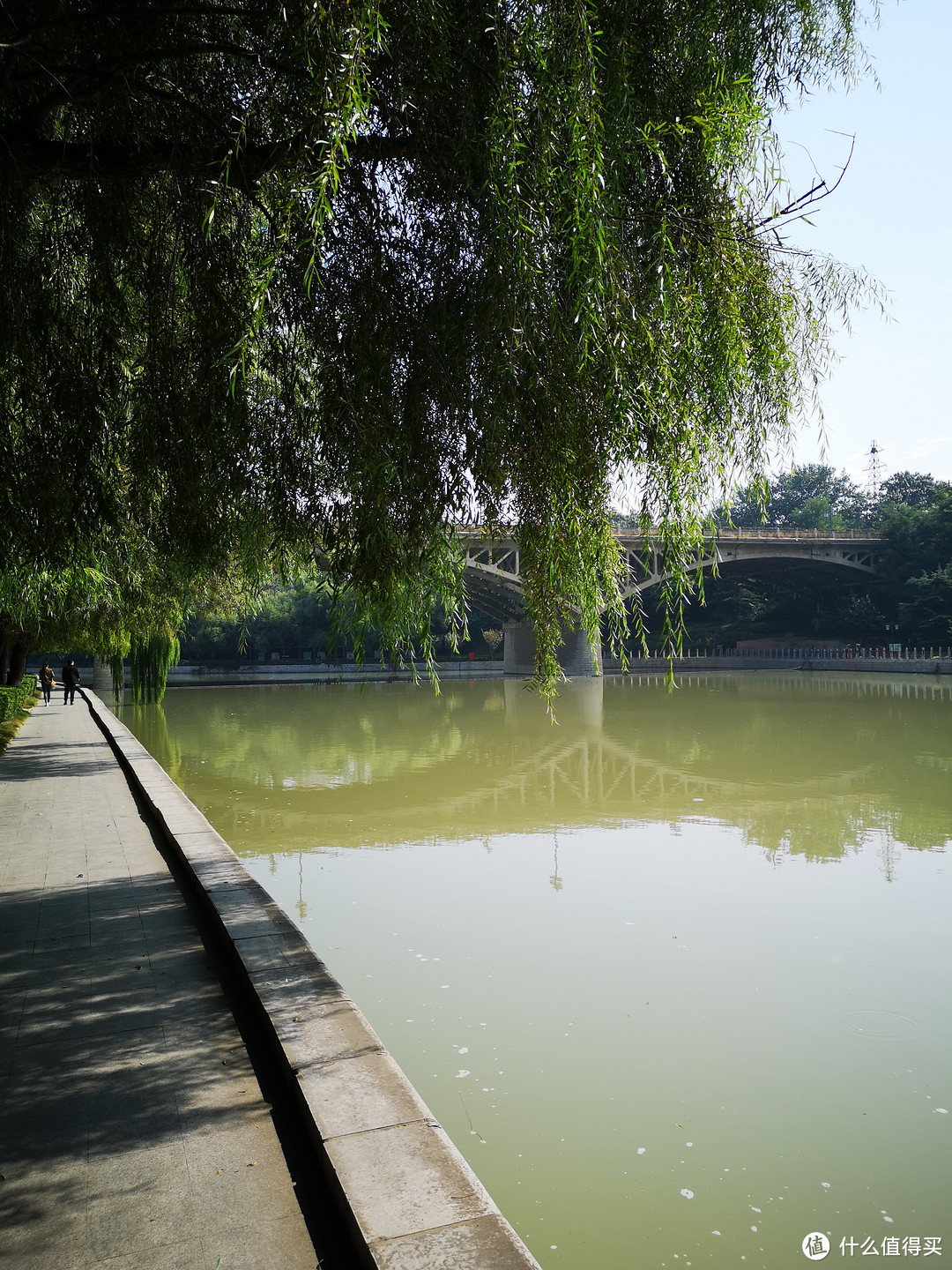 海岱惟青州，自驾游记