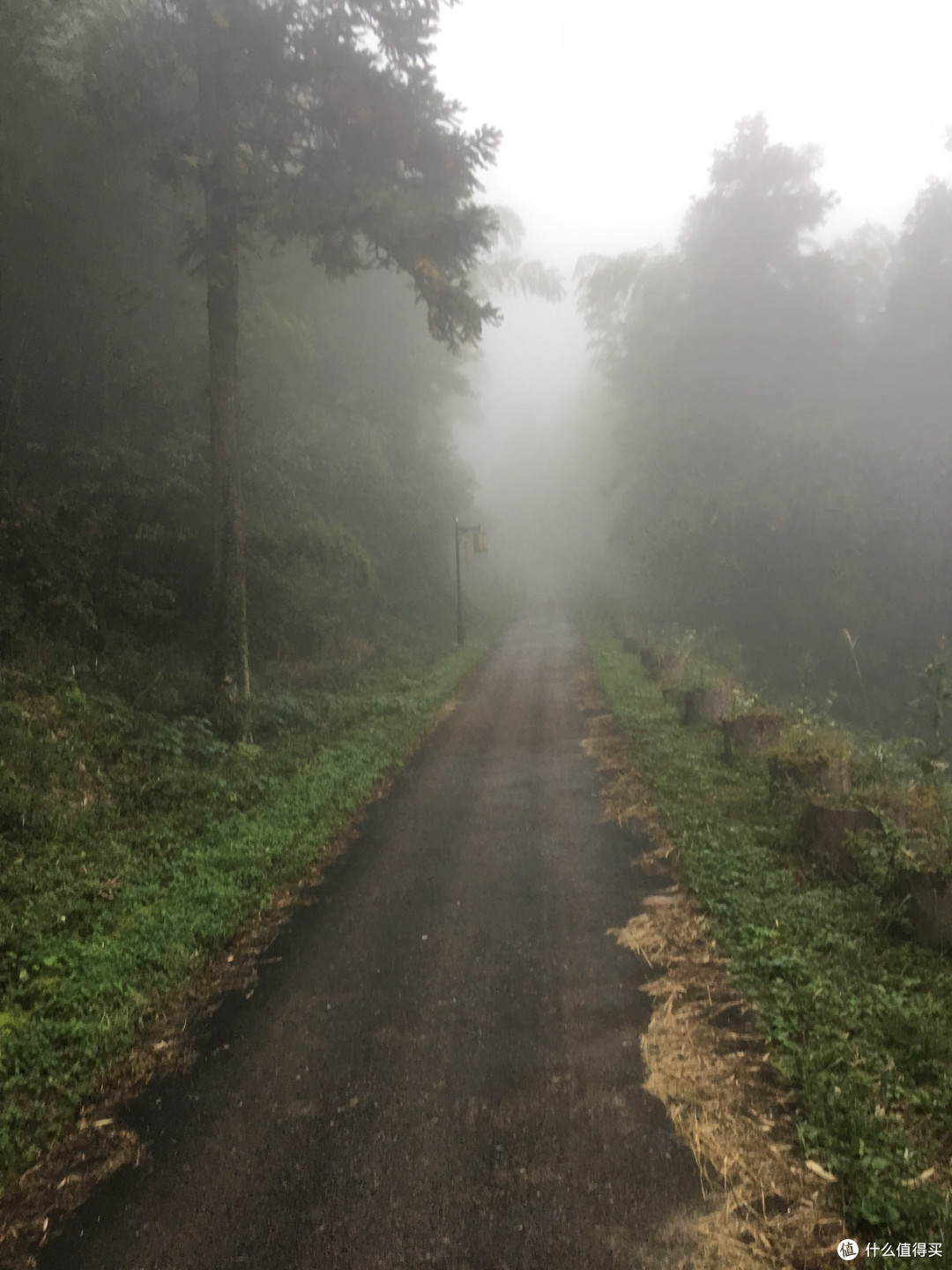 7小时40分钟,单人徒步九华山