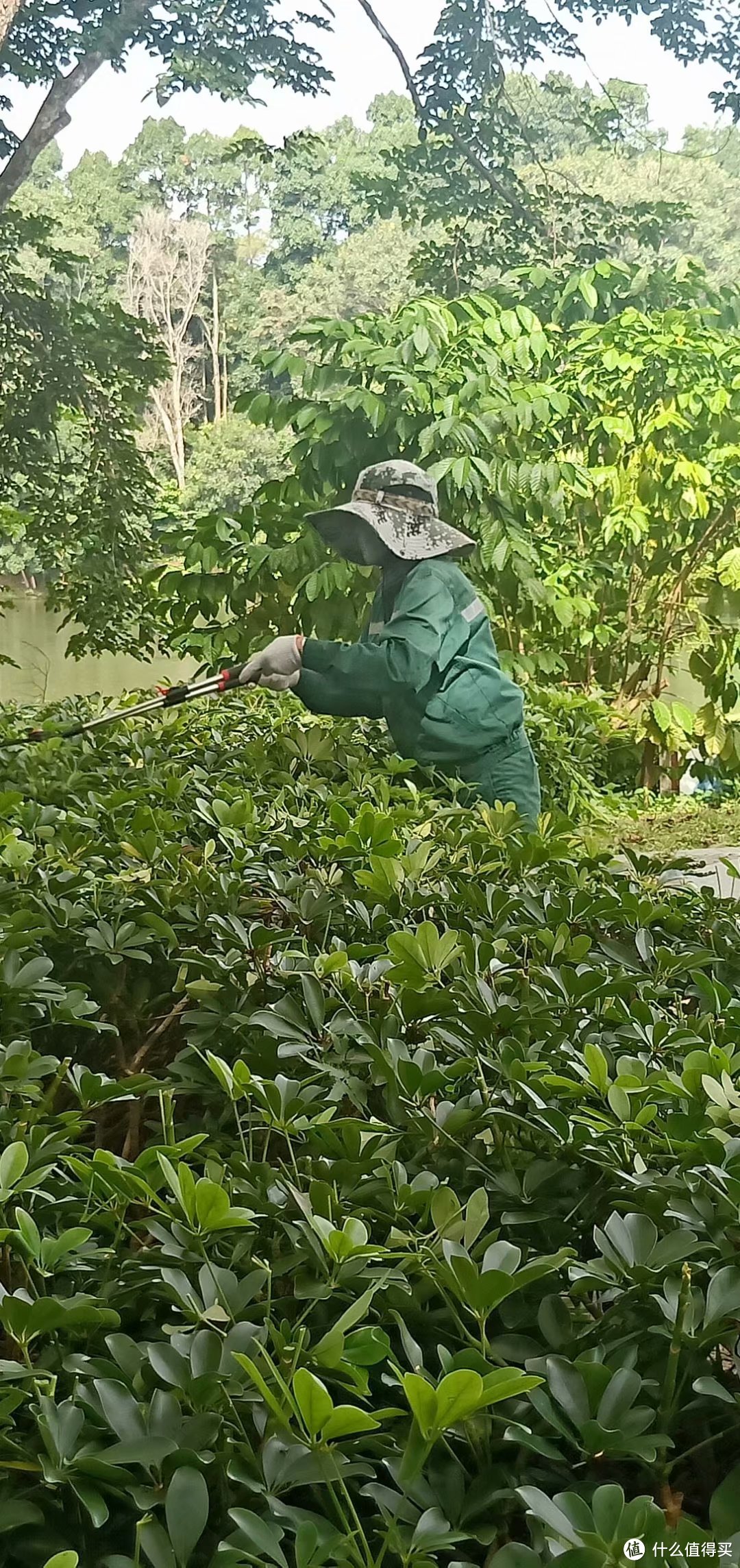 儋州一日游第一站—海南热带植物园