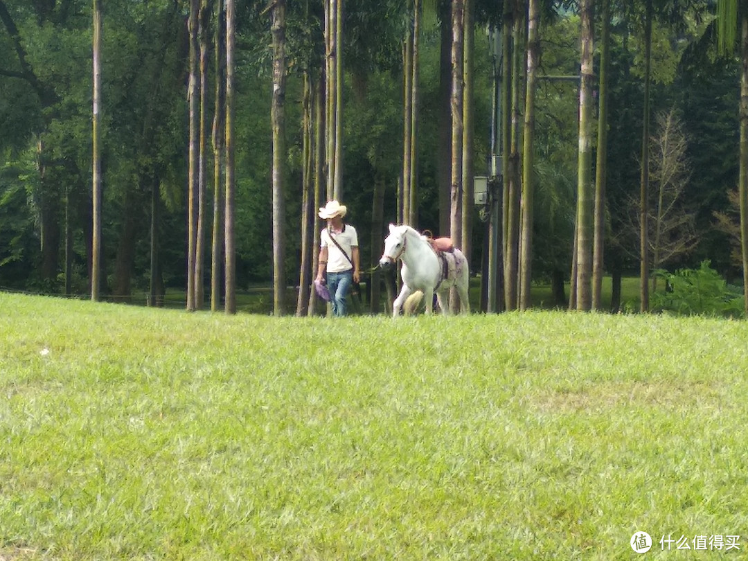 免费的公园，有一些收费的游玩项目，这个用来养护公园，也是一个途径，骑马走一圈，小孩20，成人30，