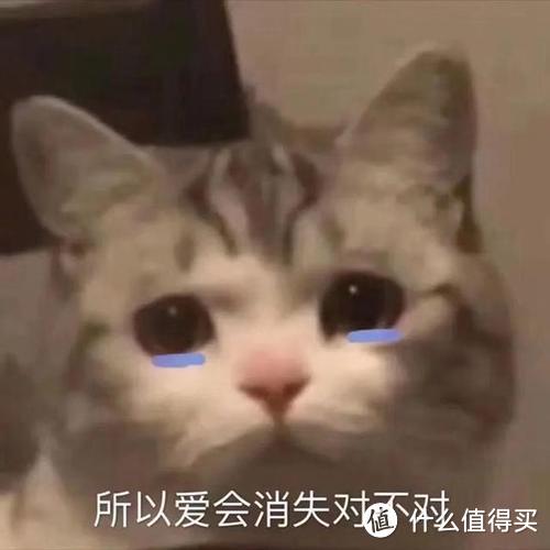 值无不言9月合辑|零基础学python、家庭清洁神器推荐、白酒选购清单,劳逸结合才是正确打开方式!