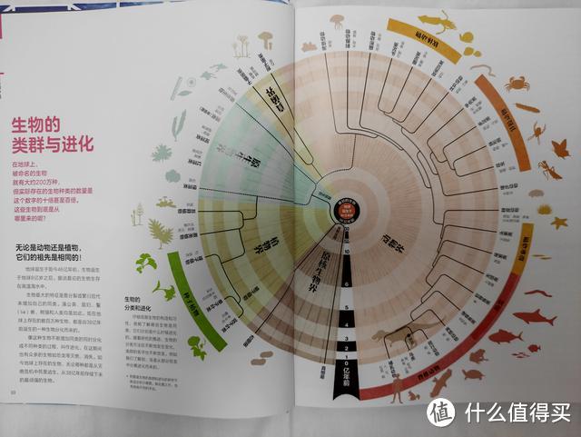 如何让孩子更好地学习科学？这些超硬核的科普绘本了解一下，让孩子爱上科学（含各阶段书单）