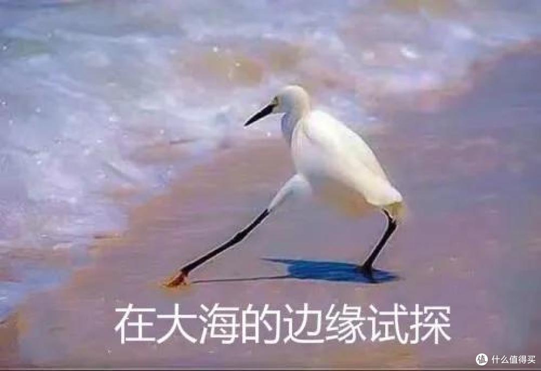 相互宝被点名,才是个开头~