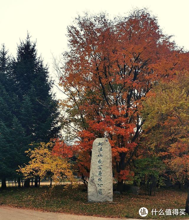 北国秋色，没有游客只有红叶，一座山脉连着一座山脉