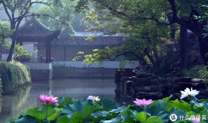 盘点 |国内有哪些值得一去的5A景点,以及应该怎么玩