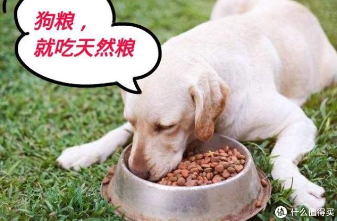 31日更新|@铲屎官,双11宠粮想要什么样的好价?来许愿,我们为你实现!(好价持更ing)
