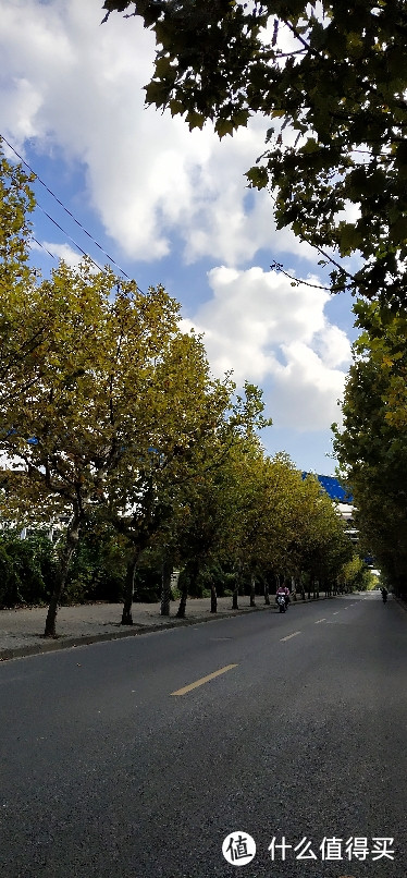 闵行澄江路轮渡/陈行渡口/这是距离最近的轮渡，一条铁索线横大江