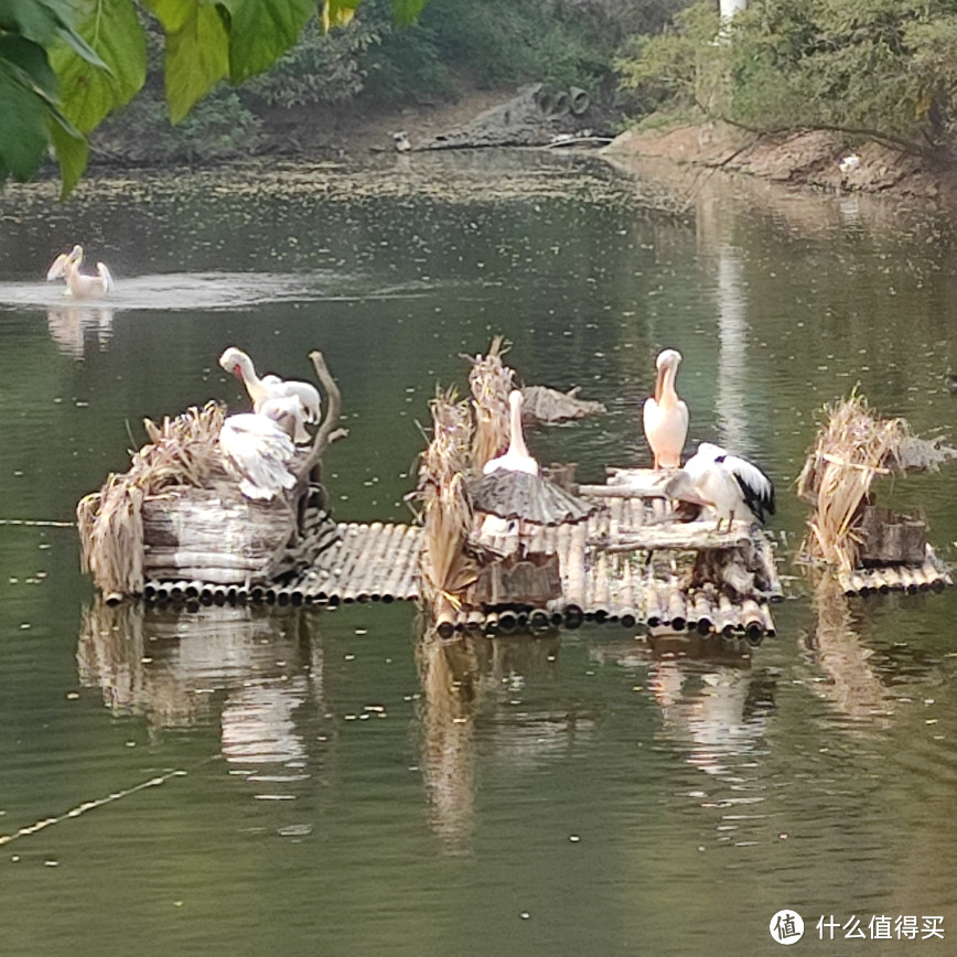 大连周边游，一年四季都非常适合小朋友游玩的，大连森林动物园~