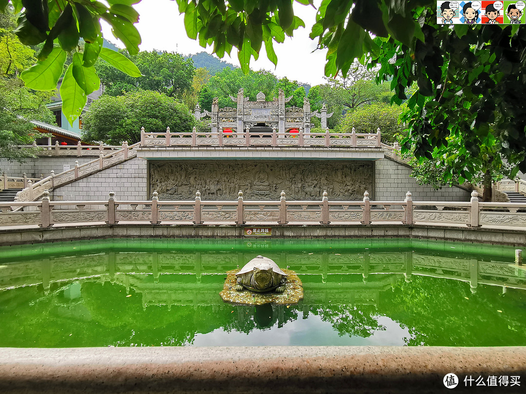 位于鼎湖山天溪山谷中，座西面东，四周峰峦环抱，如瓣瓣莲花。