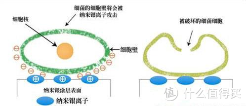 食材的秘密保鲜库，海信BCD-502WMK1DPJ冰箱测评