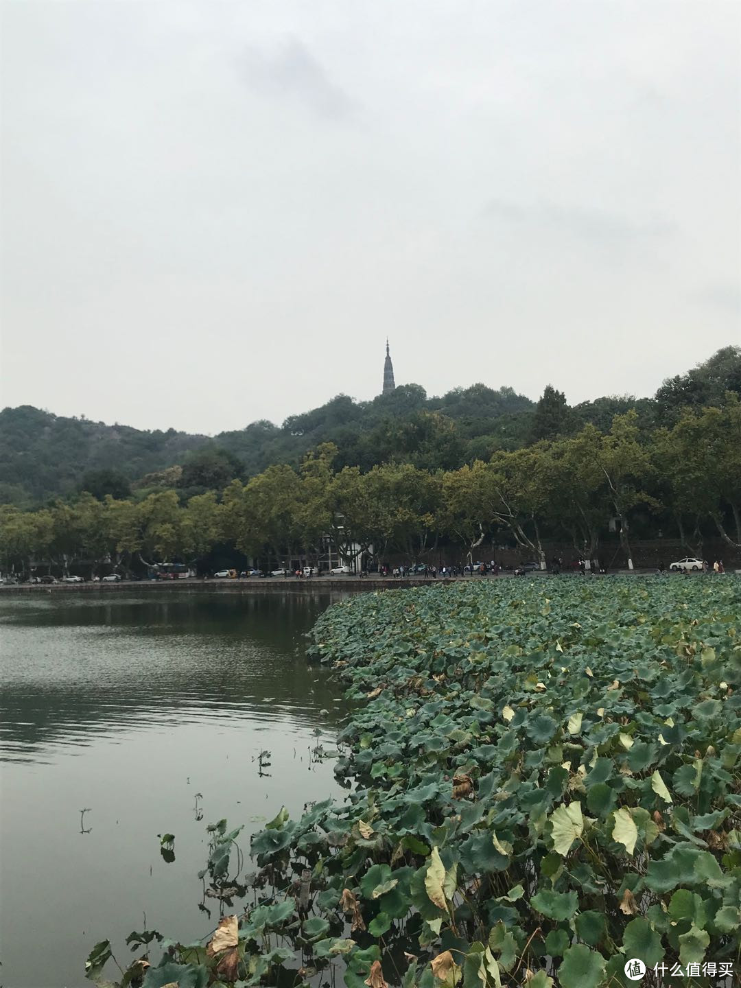 周末游玩----杭州西湖半日游