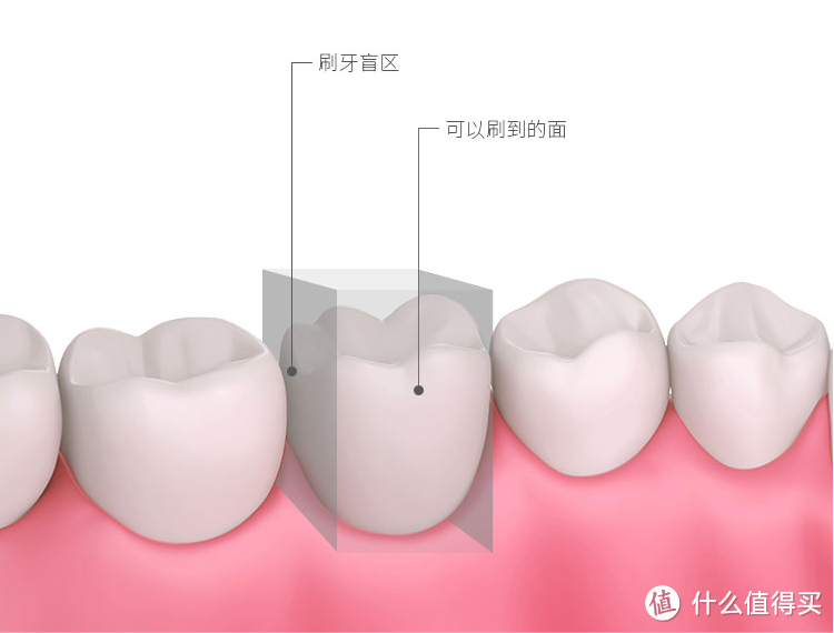 进口洁碧vs国产惠齿，冲牙器到底怎么选