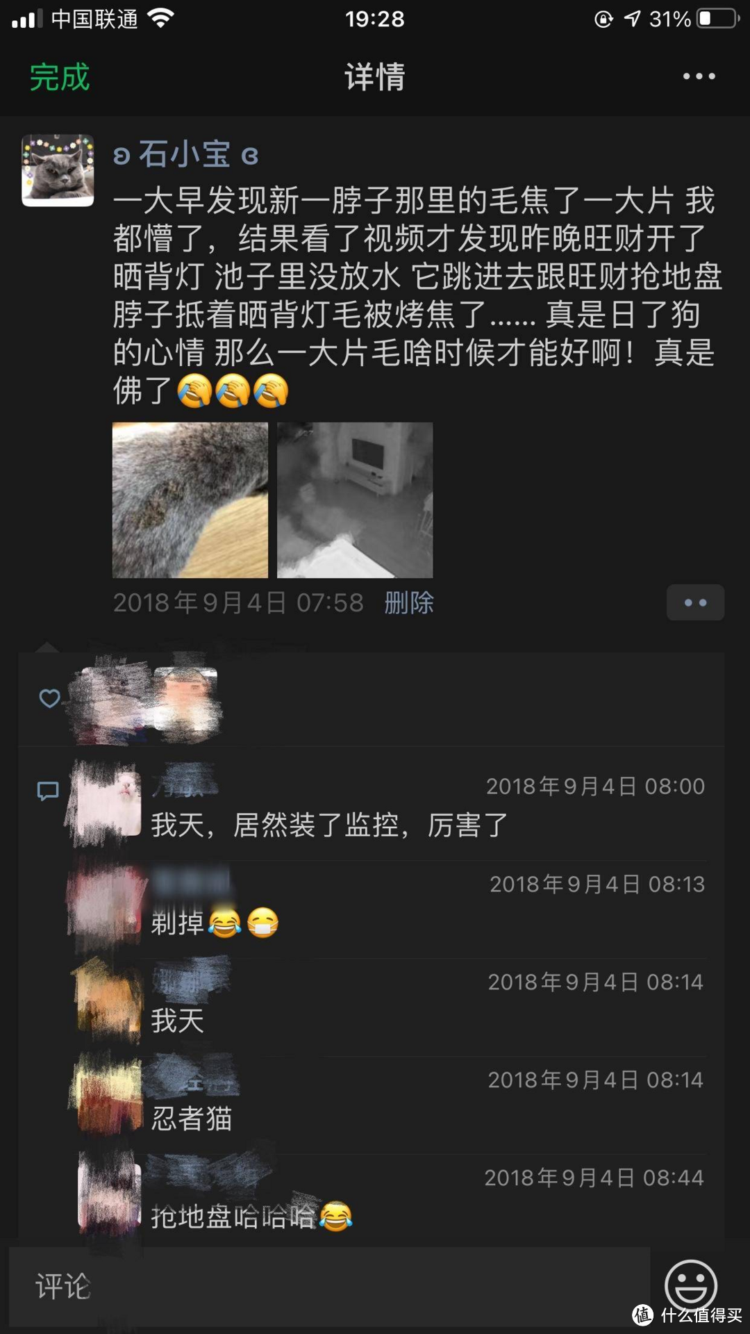 新手养猫指南进阶篇——8款智能好物提升你的养宠幸福感！