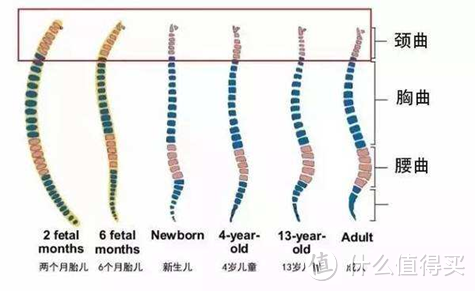 舒适安全又可靠，babyfirst灵犀安全座椅体验