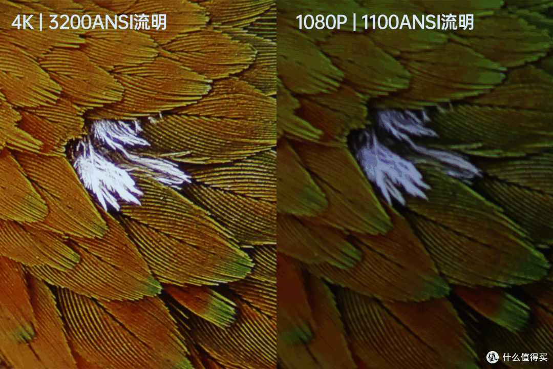 游戏观影俱佳,4K性价比优先|优派PX701-4K投影体验|