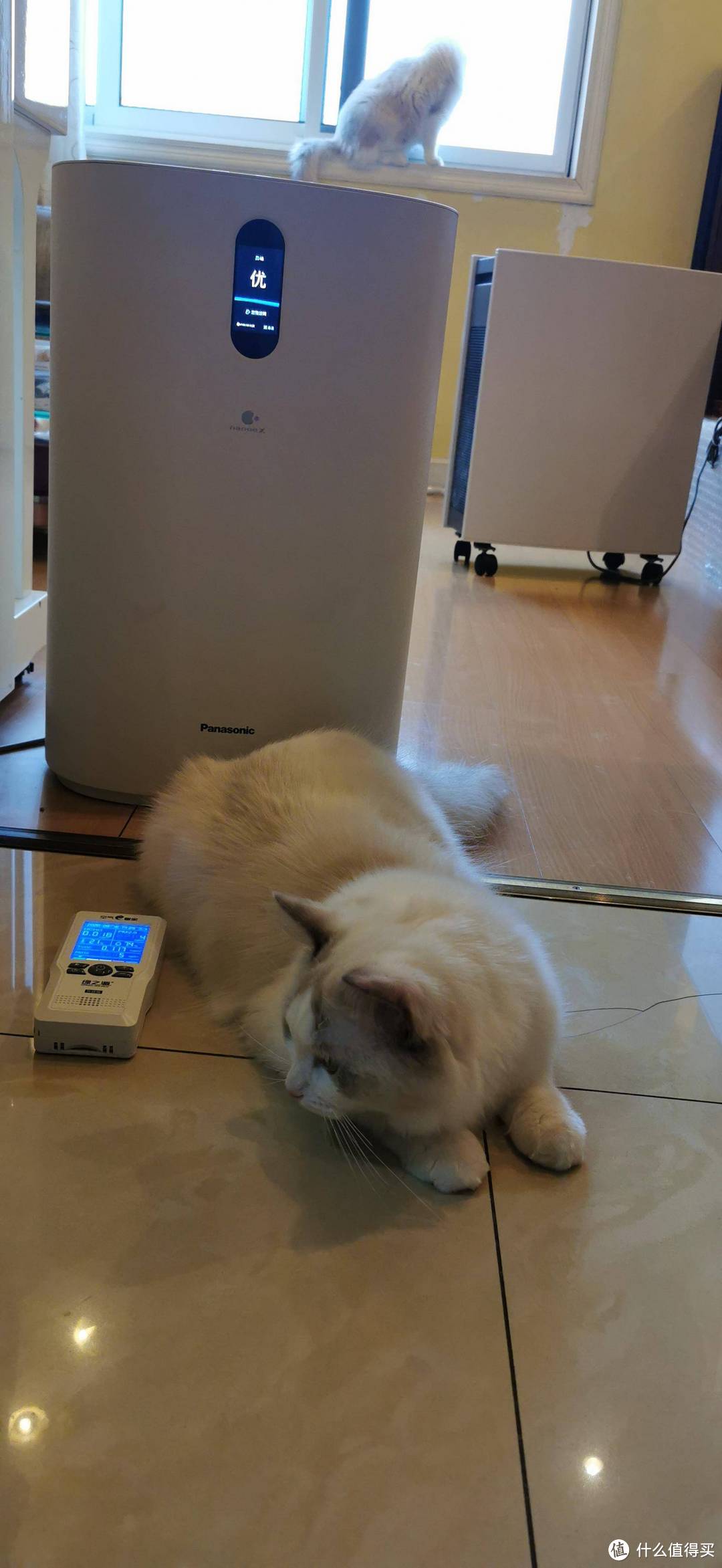 盘点身价十万的猫星人都在用什么小家电,一台空气净化器远远不够