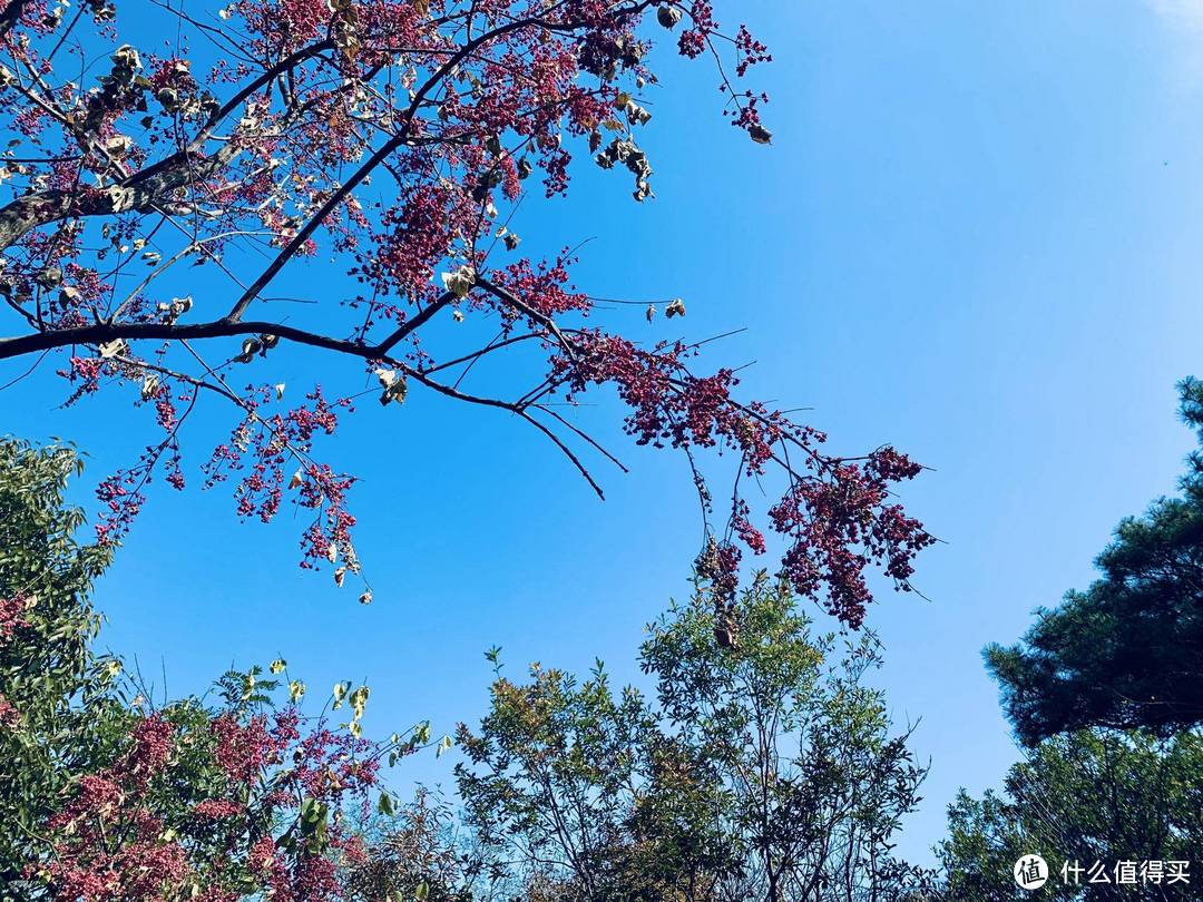 旅行的意义是什么？有山有水有民宿，有哭有笑有释然。日照五莲，森系原生