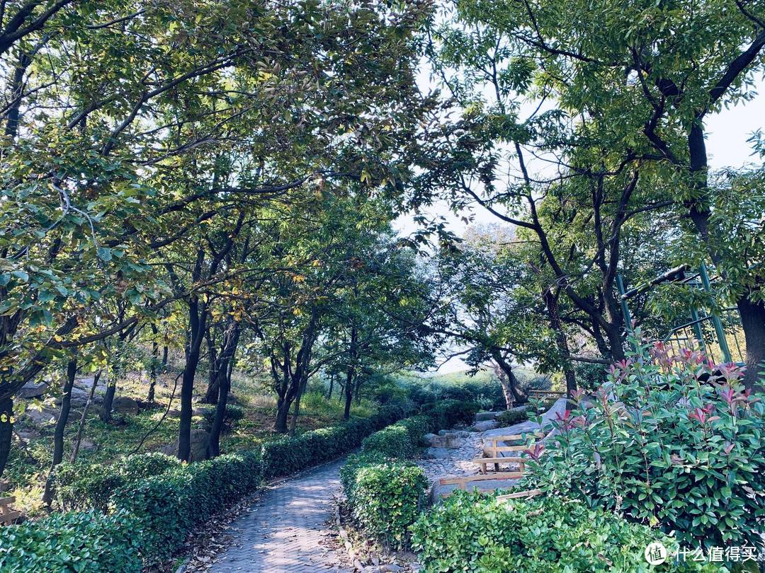 旅行的意义是什么？有山有水有民宿，有哭有笑有释然。日照五莲，森系原生