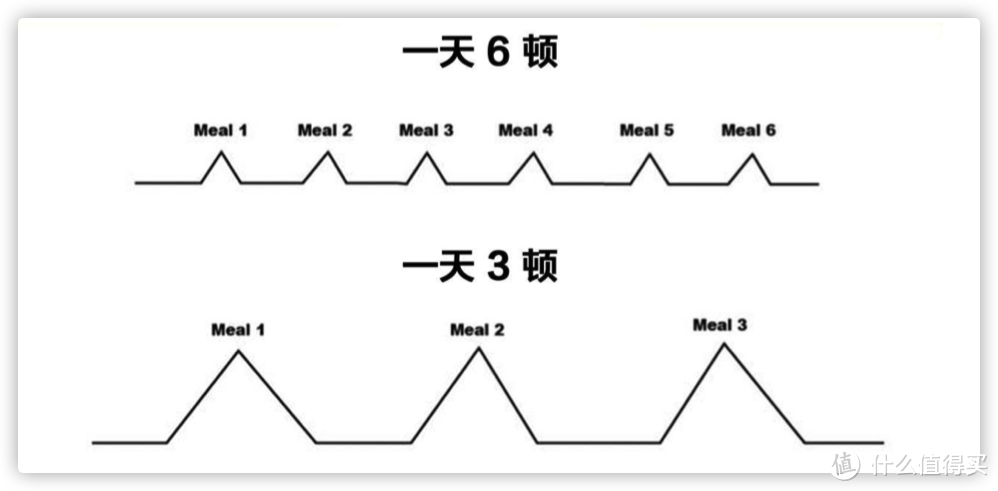 辟谣│“少食多餐”能够提高基础代谢？健身教练告诉你，没这回事