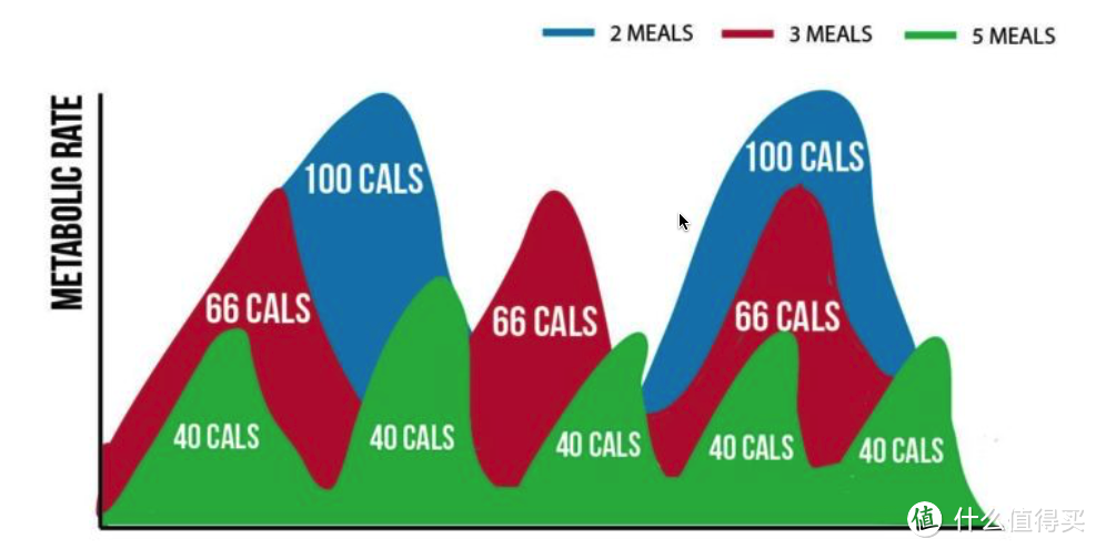辟谣│“少食多餐”能够提高基础代谢？健身教练告诉你，没这回事
