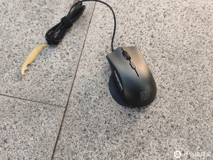 “臀控福利”MMO鼠:其貌不扬的TT 复仇者