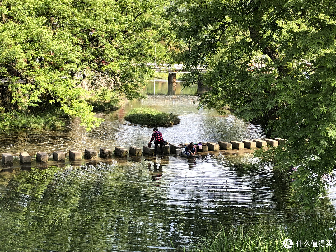 四明山镇