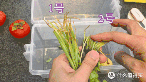 为什么要买冰箱除味器?因为冰箱内细菌比厕所马桶还多!(附臭氧除菌前后细菌总数对比)