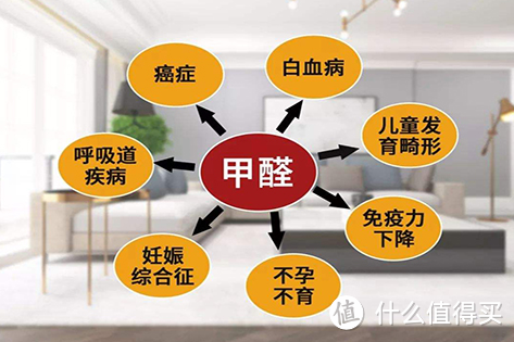 开箱测评:NCCO除甲醛技术,中国香港b-MOLA鱼仔机