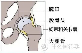 腰疼、膝盖痛的真正原因，不是运动，而是它